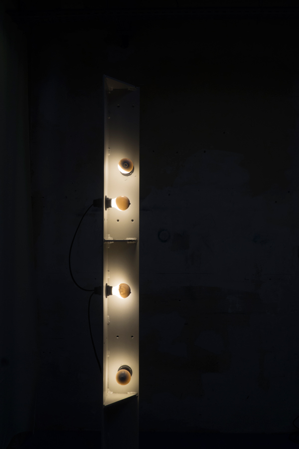 Joseph Bourgois
Untitled, 2024
lacquered steel, lacquered light bulbs, electric cables, mahogany, hardware
192 x 26 x 26 cm